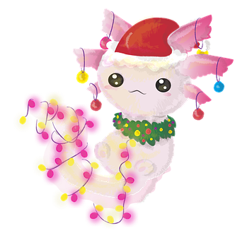 Axolotl, Axolotl Kerst, Kerstmis