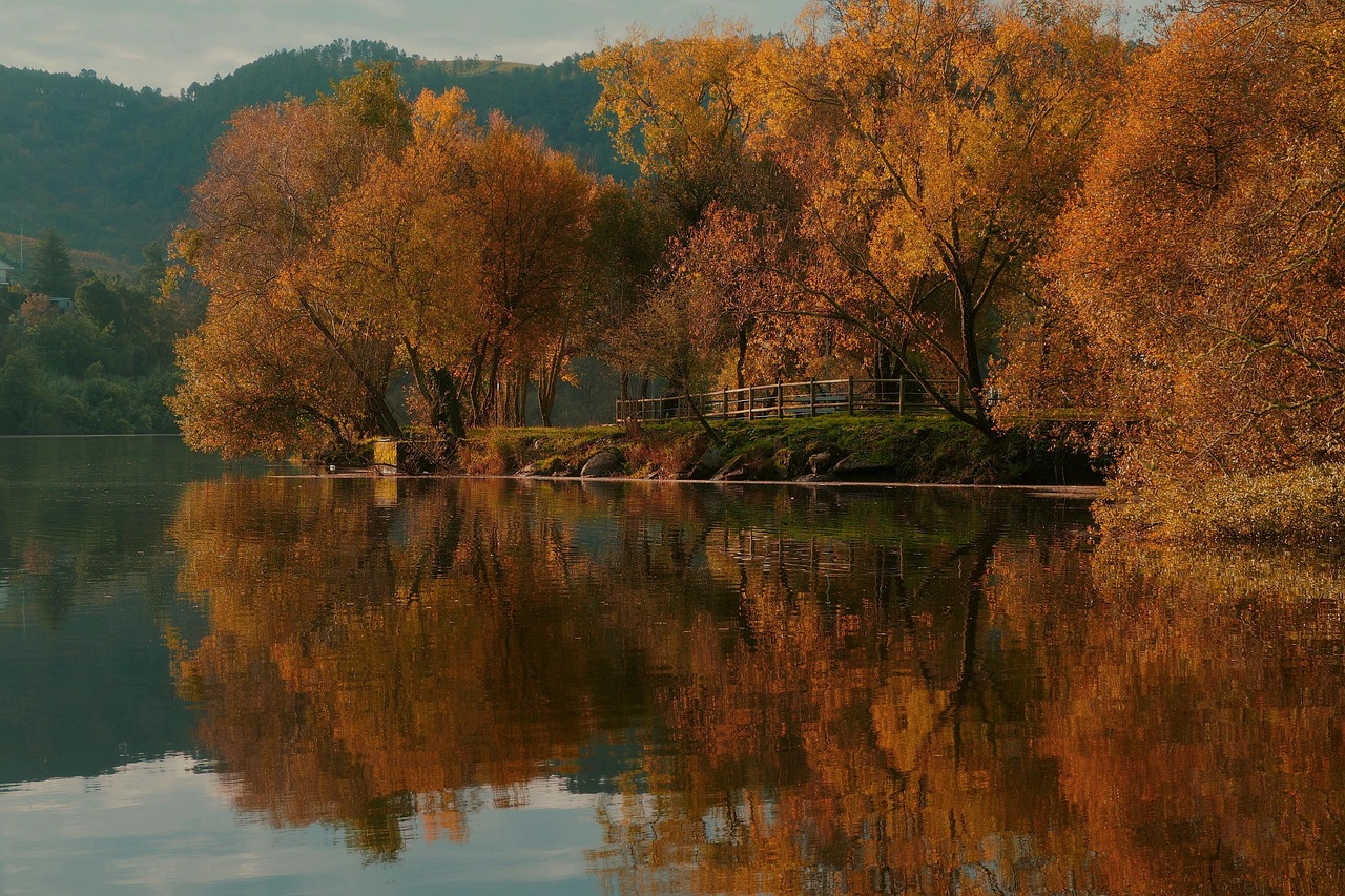 Autumn Rflection Autumn Reflection Projection - Free photo on Pixabay - Pixabay
