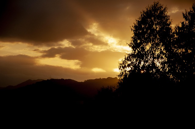 Free Sky Golden Hour photo and picture
