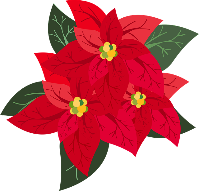Free graphic poinsettia flower background vector