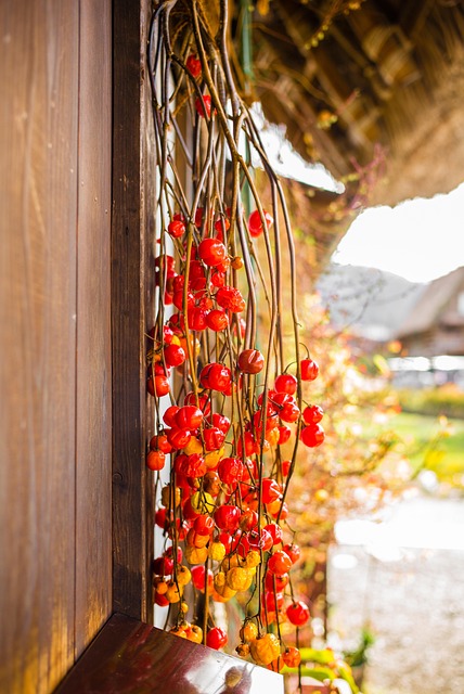 Free Fruit Wood photo and picture