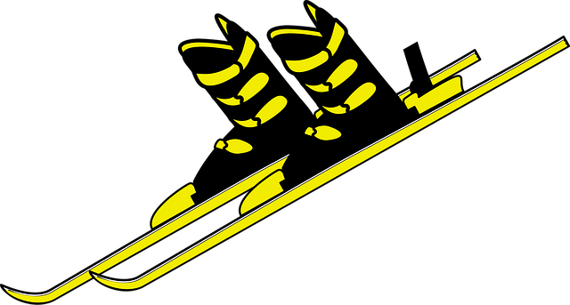 Free graphic race skis ski racing vector