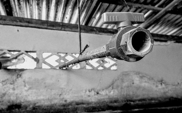 Free Water Pipe photo and picture