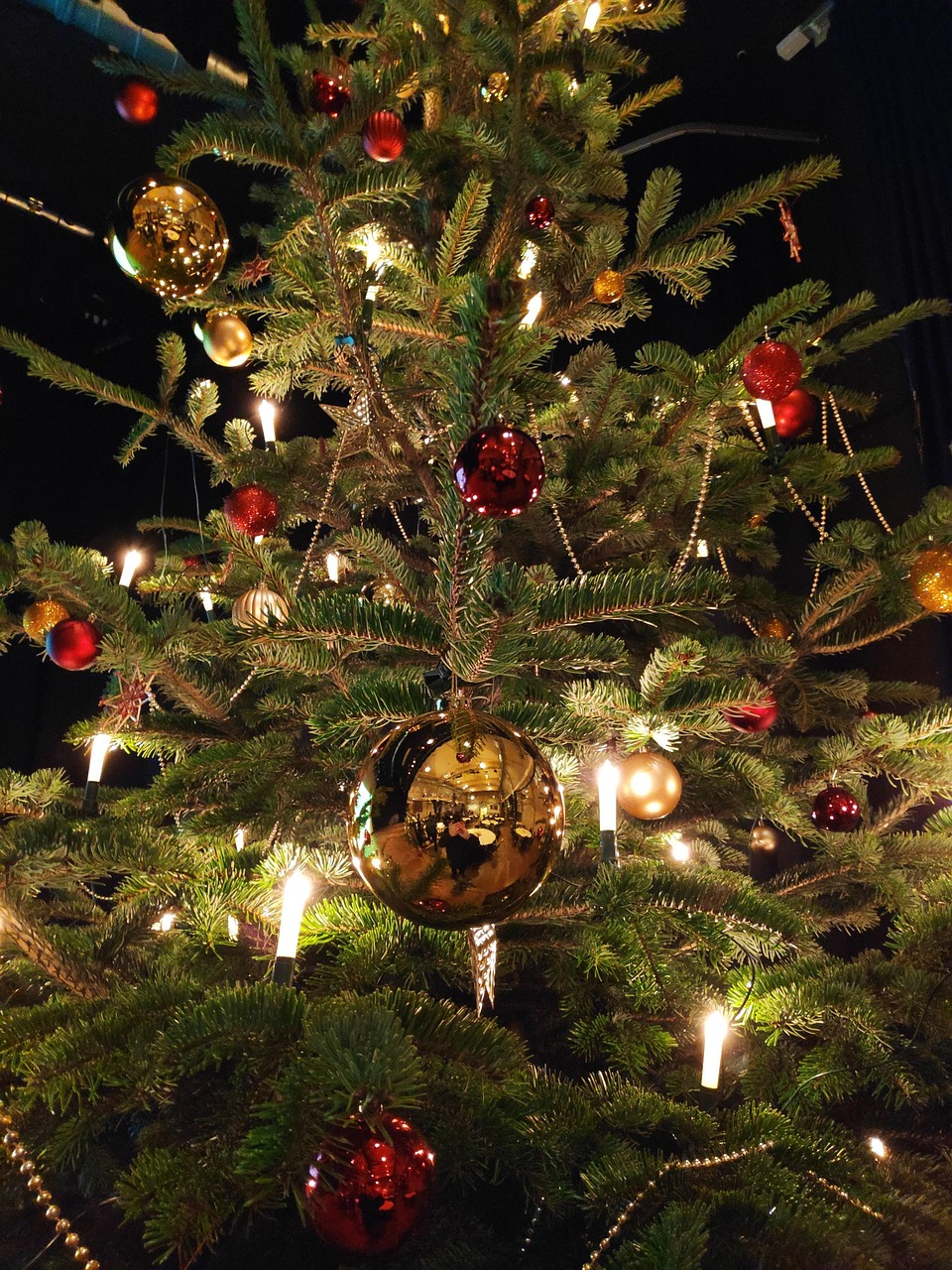 Mood christmas tree photography