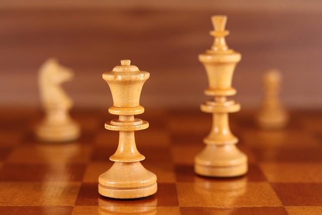 Free Lady Chess photo and picture