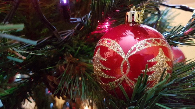 Free Christmas Decorations photo and picture