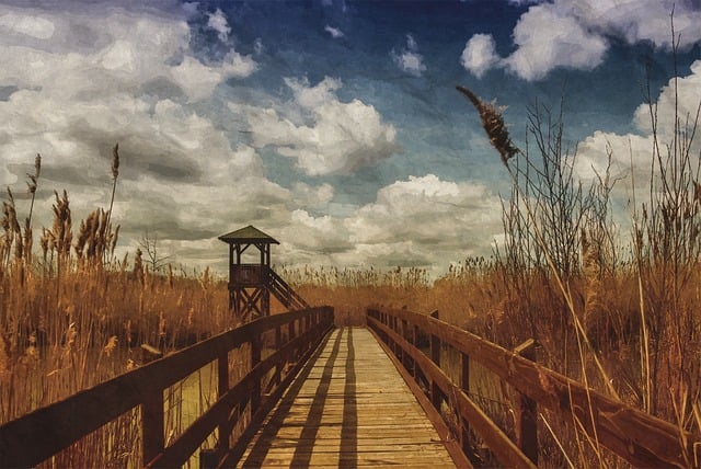 Free countryside outdoors scenic illustration