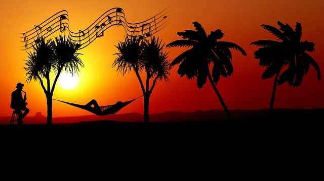 Download free HD stock image of Sunset Hammock Free sunset hammock rest illustration
