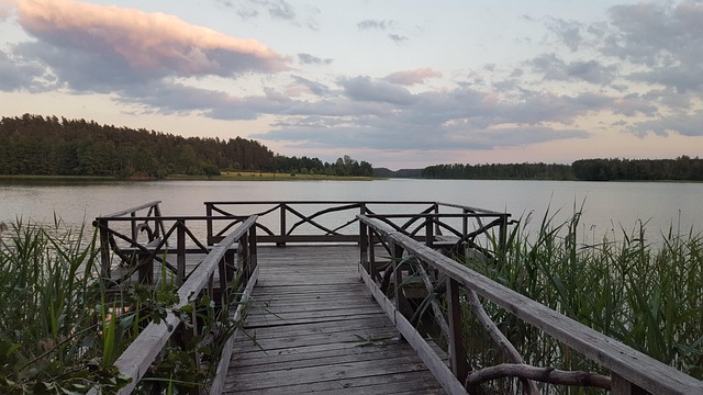 Blick, Perspektive, Stimmung, Natur