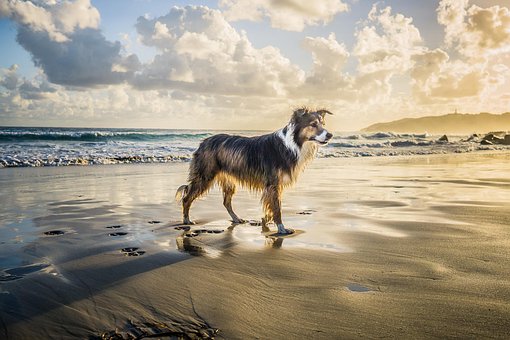 Byron Bay 15 Stunning Beaches around Australia to Explore in 202