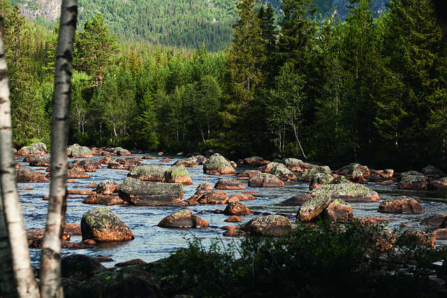 Free Norway Bach photo and picture
