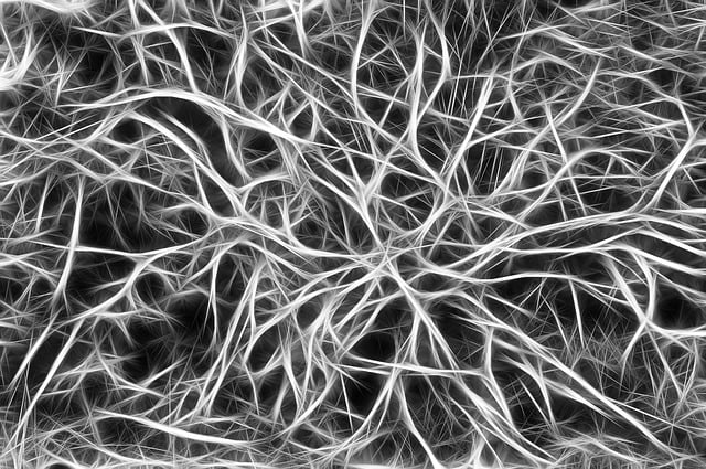 Free annoy cells dendrites sepia illustration