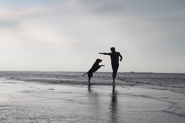 Free Man Beach photo and picture
