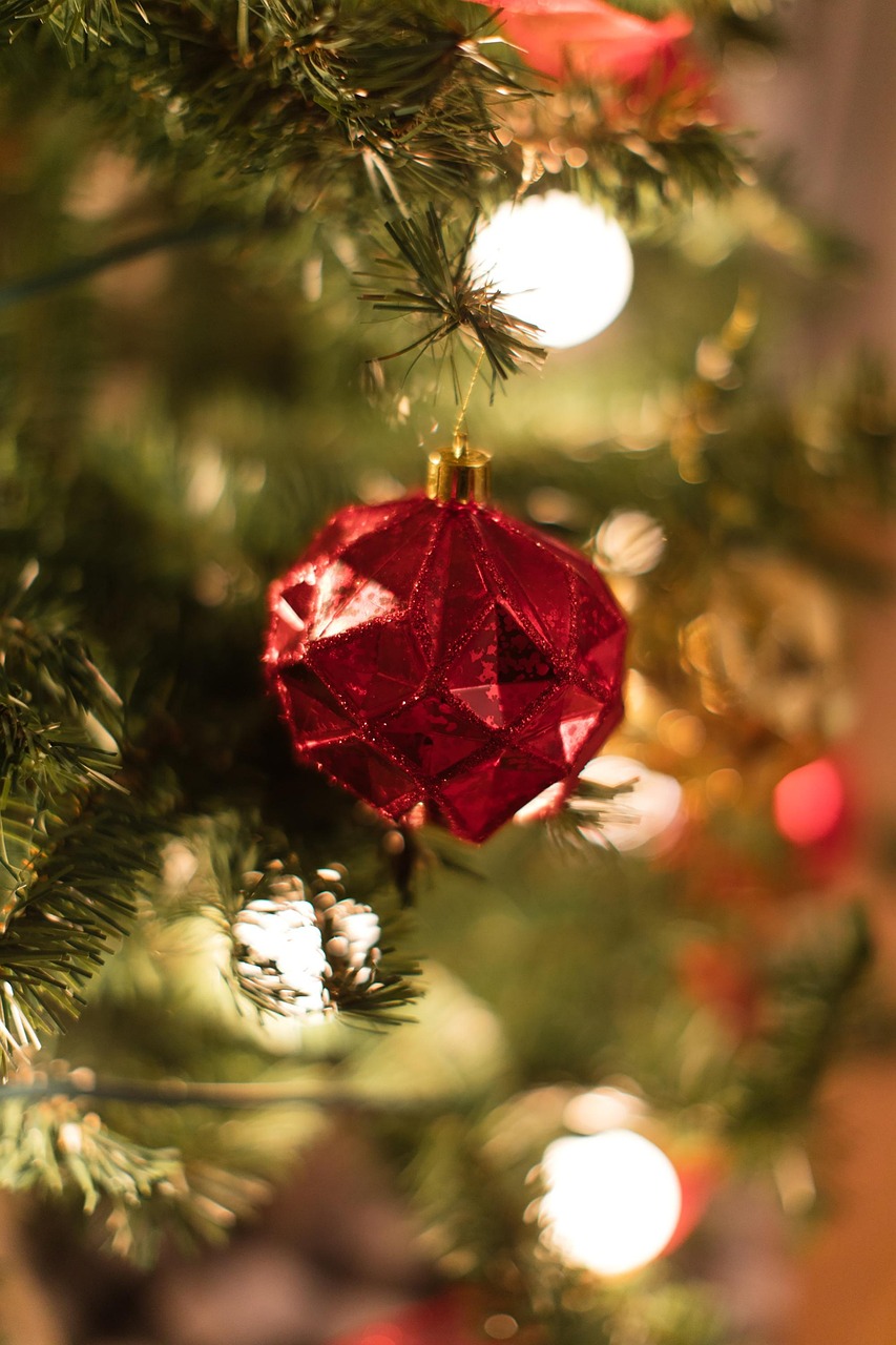 Christmas Tree Free photo on Pixabay Pixabay