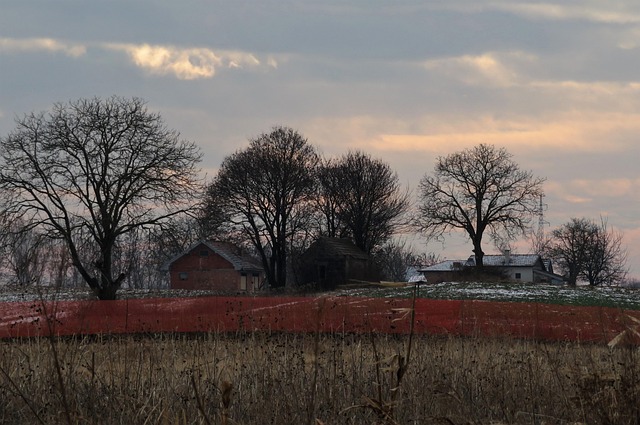 Free Landscape Autumn photo and picture