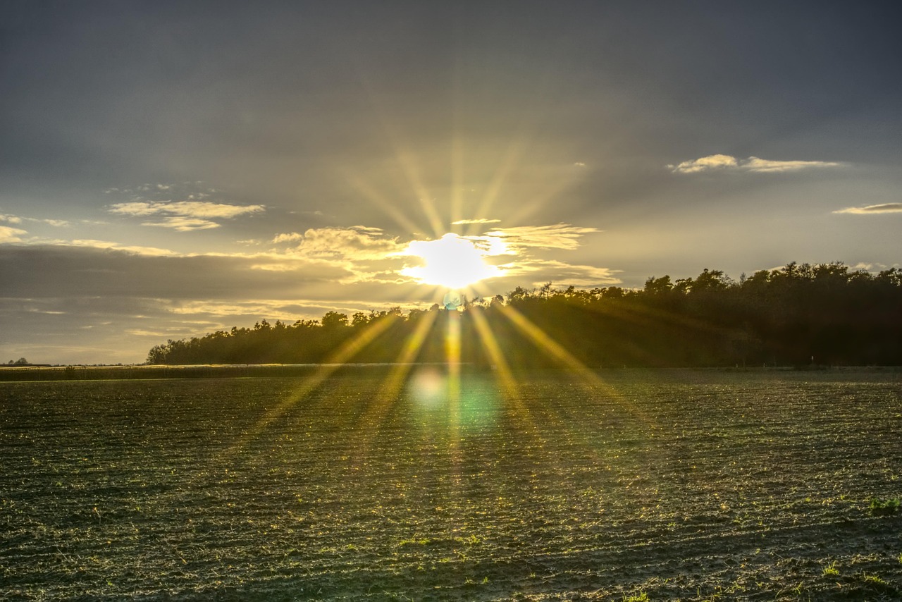 S o ce Pod wietlenie Ol niewaj ca Darmowe Zdj cie Na Pixabay Pixabay S o ce Pod wietlenie Ol niewaj ca Darmowe Zdj cie Na Pixabay Pixabay