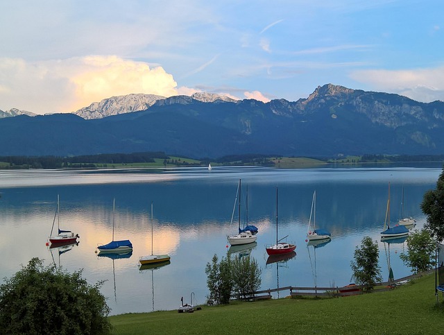 Free Feet Nature photo and picture