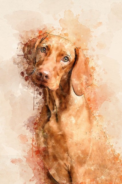 Free dog nature forest illustration