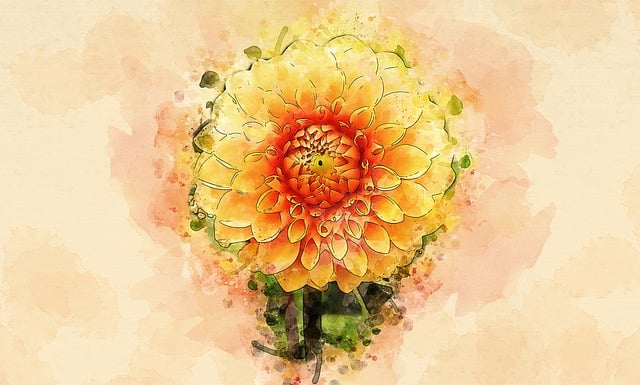 Free flower nature forest illustration