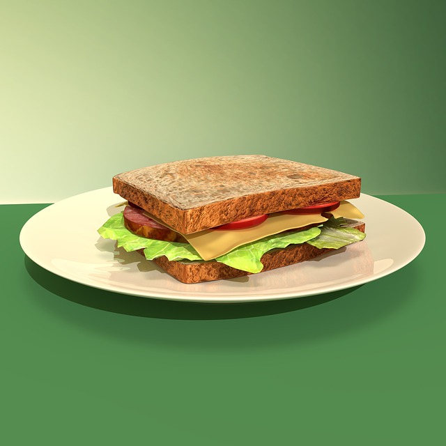 Free sandwich meal food illustration