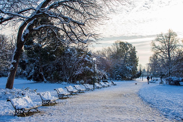 Sne, Paris, Vinter, Frankrig, Kold, By