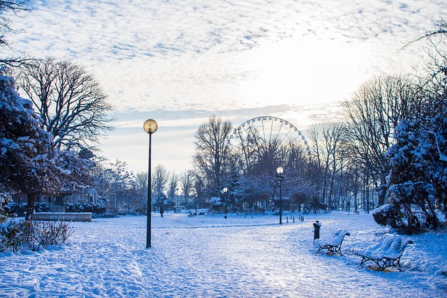 Sne, Paris, Vinter, Natur, Landskab
