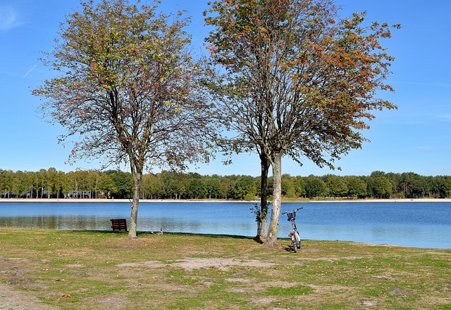 Free Landscape Nature photo and picture