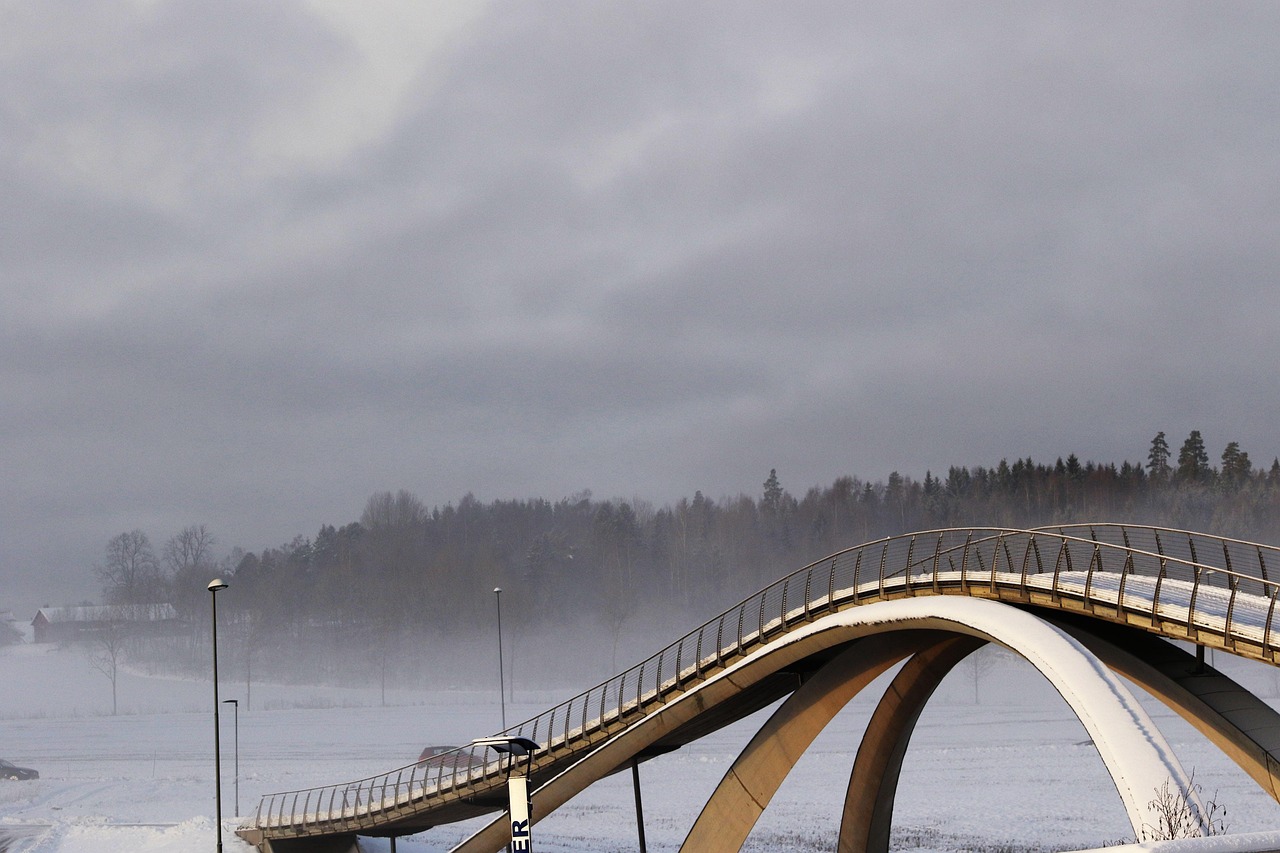 Bridge - free online jigsaw puzzle photo