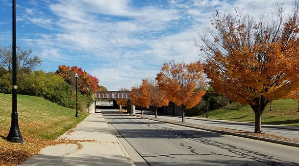 Free Autumn Fall photo and picture