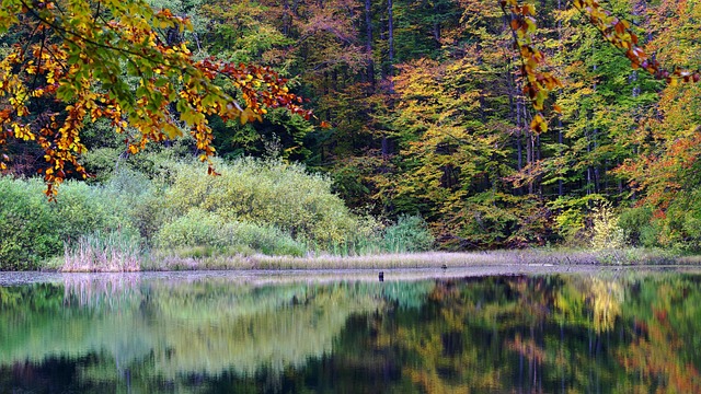 Free Poland Bieszczady photo and picture