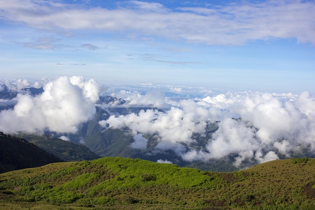 Free View Mountain photo and picture