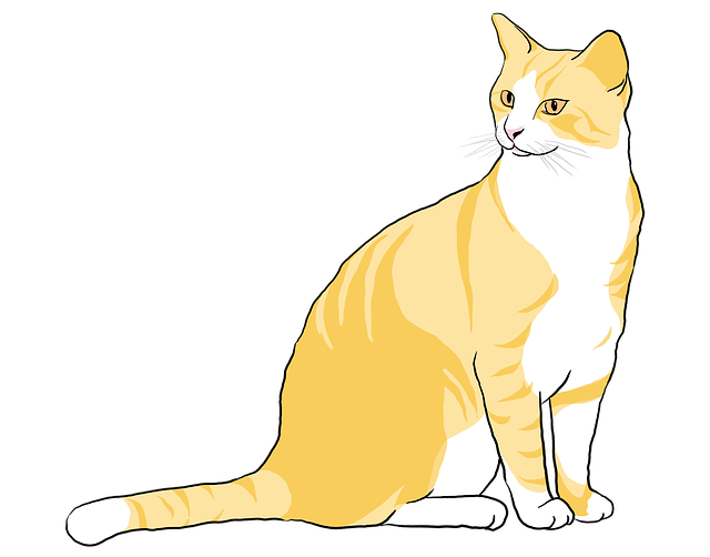 Котка, Коте, Животно, Домашен Любимец