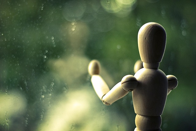 Free Still Life Rain photo and picture