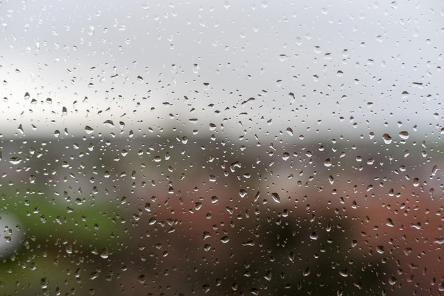 Free Rain Weather photo and picture