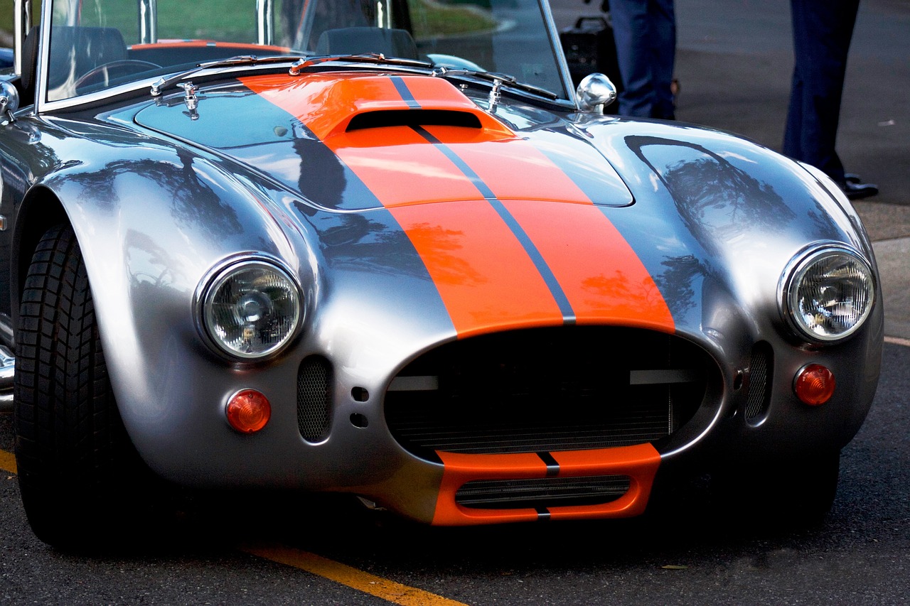Cobra - free online jigsaw puzzle photo