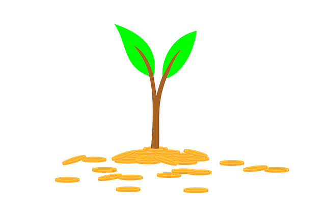 Plante, Investere, Penge, Mønt