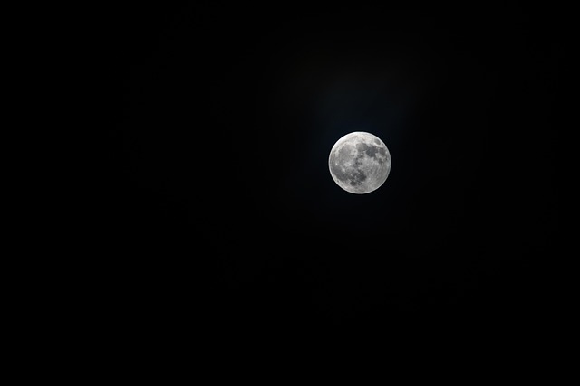 Free Moon Night photo and picture