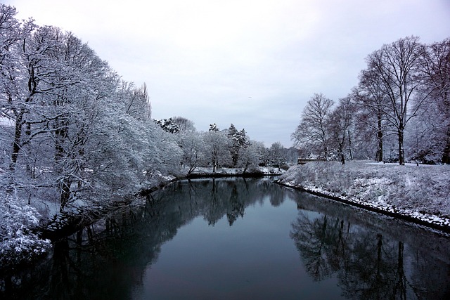 100+ kostnadsfria bilder med Skåne och Malmö - Pixabay