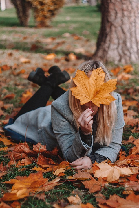 autumn leaves colorful free photo on pixabay colorful nature pictures