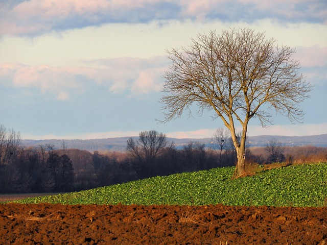 Free Landscape Agriculture photo and picture