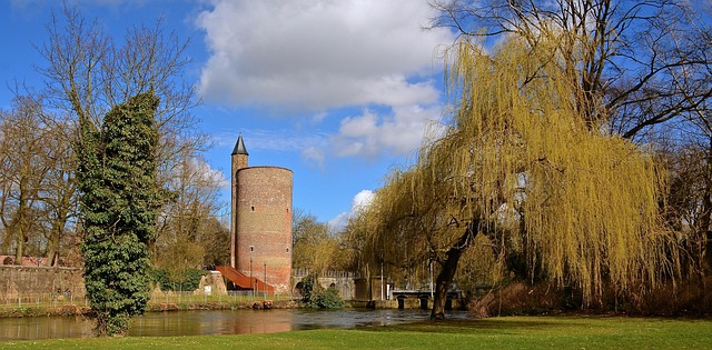 Free Tower Park photo and picture