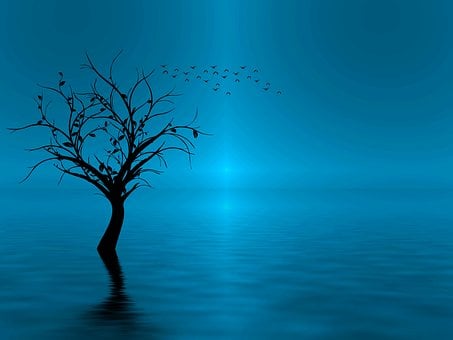 nature landscapes images pixabay download free pictures