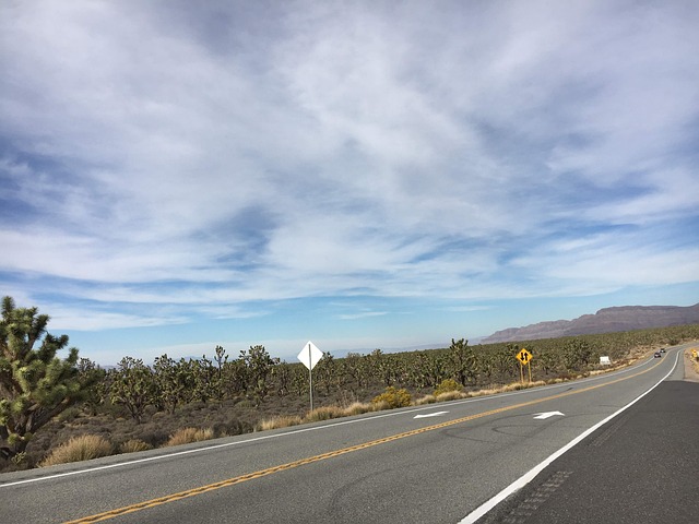 Free Arizona Desert photo and picture