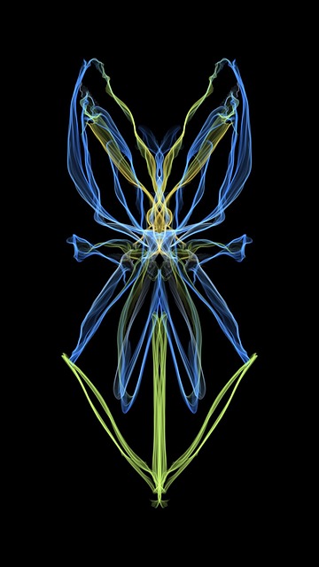 Free Flower Neon illustration and picture