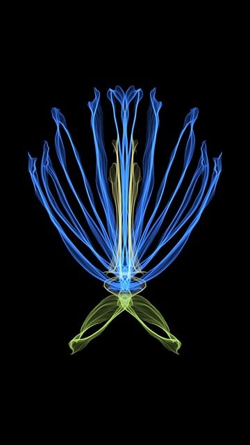 Free Flower Neon illustration and picture