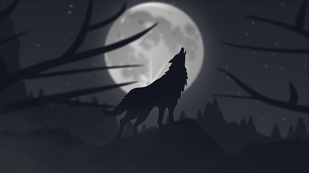 Free Wolf Animals illustration and picture
