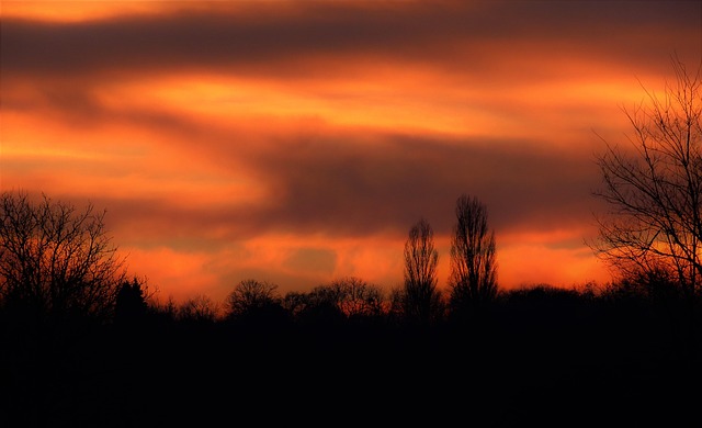 Free Landscape Sunset photo and picture