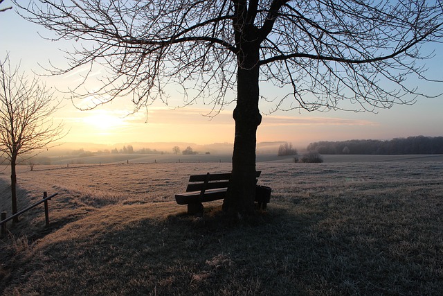 Free Hoarfrost Winter photo and picture