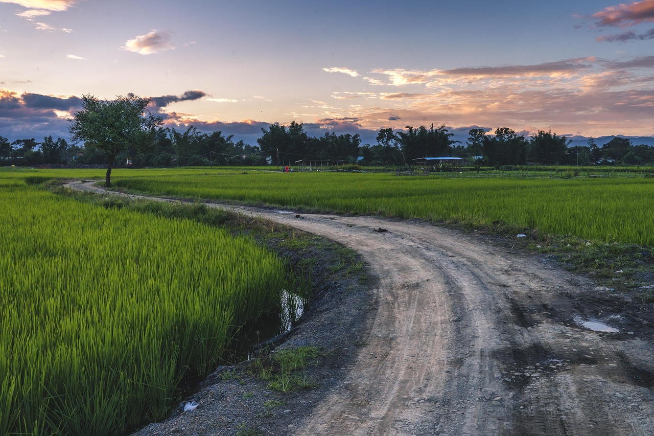 Road - free online jigsaw puzzle photo
