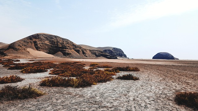 Free Desert Sand photo and picture